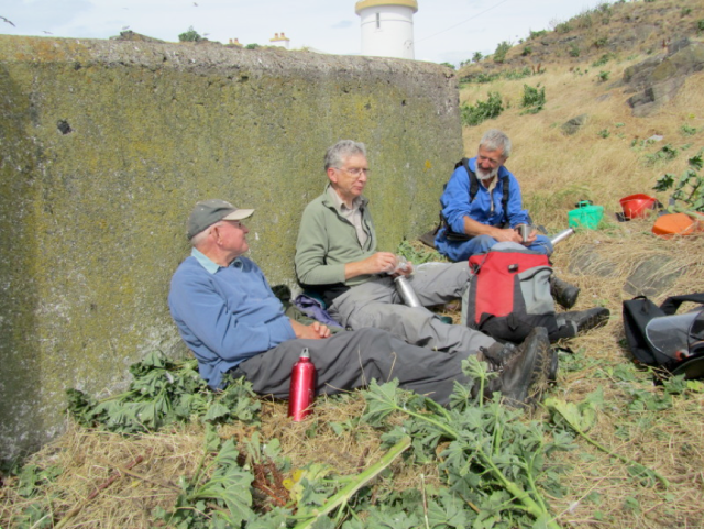 Howard Andrew, Bill Bruce and David Ross relaxing on Fidra after a hearty lunch of tree mallow.
